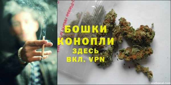 крисы Каменногорск