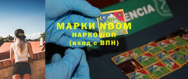 гидропоника Алзамай