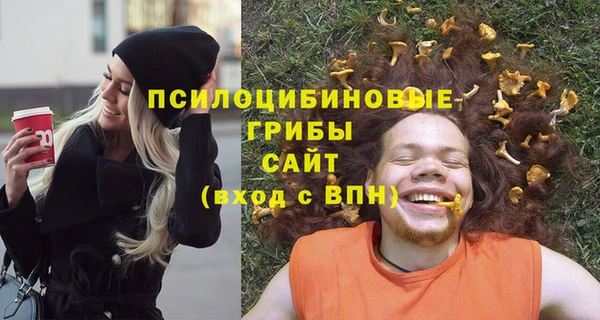кокс Алексин