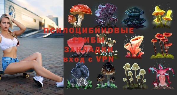 винт Алексеевка