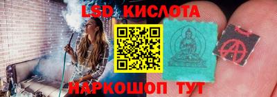 прущие грибы Славянск-на-Кубани