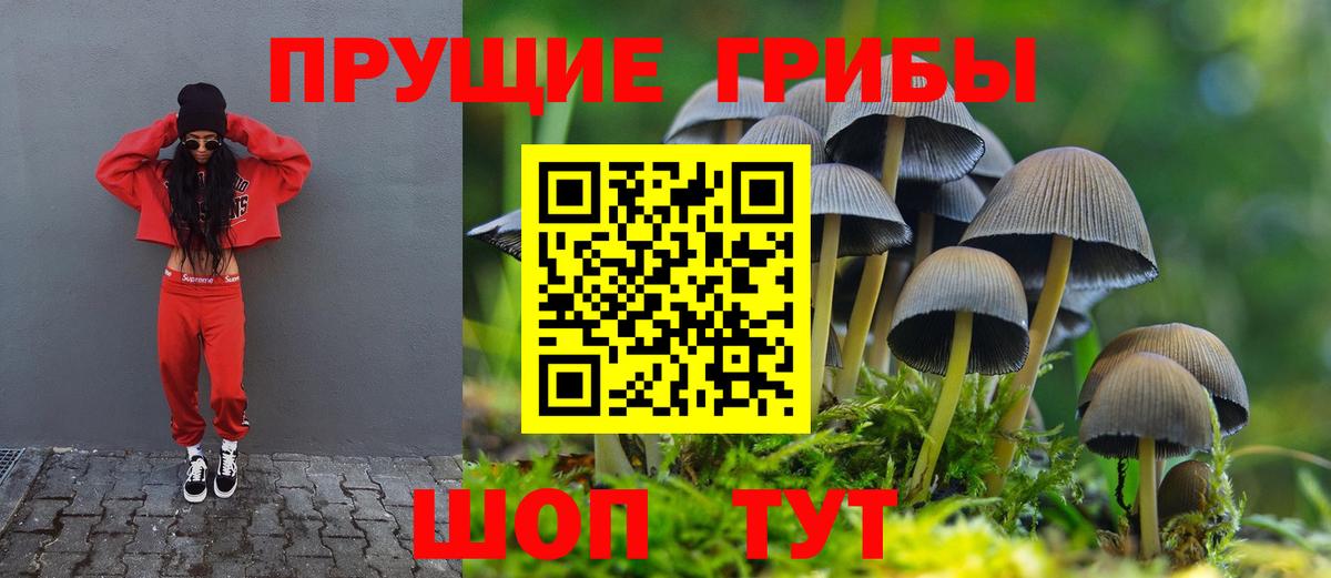 Галлюциногенные грибы мухоморы Норильск
